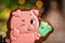 Holiday traditional food bakery. Gingerbread lucky pink pig with bundle of money in cozy warm decoration with garland lights