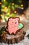 Holiday traditional food bakery. Gingerbread lucky pink pig with bundle of money in cozy warm decoration with garland lights