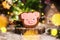 Holiday traditional food bakery. Gingerbread pink pig head in cozy warm decoration with garland lights