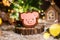 Holiday traditional food bakery. Gingerbread pink pig head in cozy warm decoration with garland lights