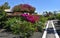 Holiday Villas and Gardens with Bougainvillea and path.