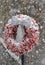 Holiday wreath with silver ribbon hanging on fence as it snows.