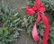 Holiday wreaths with red ribbon