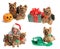 Holiday Yorkie Collection