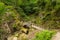 Holidaymakers and tourists Aira Force waterfall Ullswater Valley Lake District Cumbria England UK