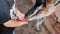 Holidays in the country - little boy feeds a goat. baby 2 years old