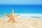 Holidays. sand beach and starfish in front of summer sea background with copy space