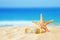 Holidays. sand beach, sunglasses and starfish in front of summer sea background with copy space