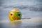 Holidays Vacation Concept. Fresh green coconut with a scary face carved on it on the water in the beach. Tropical halloween symbol