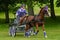 Holker Hall National Carriage Driving Trials 2010