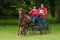 Holker Hall National Carriage Driving Trials 2010