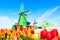 Holland background panorama with tulips and green windmill in traditional village in Holland