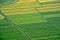 Holland farmed fields aerial view
