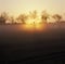 Holland, landscape with trees at sunrise