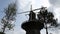 Holland Windmill and Trees Low Angle