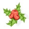 Holli berry - Christmas symbol. Flat vector illustration. Ref berries and green leaves isolated on white background