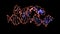 Holliday junctions formed from telomeric DNA