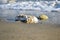 Hollow rock is placed on the sandy beach and sea.