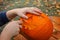 Hollowing out a pumpkin to prepare halloween lantern