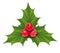 Holly berry Christmas decoration isolated