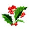 Holly berry icon, Christmas symbol