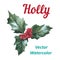 Holly berry icon Christmas symbol Vector