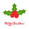 Holly berry icon. Merry Christmas symbol. Xmas design element for wreath, festive, card, web, poster, wallpaper. Merry