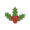 Holly berry leaves chirstmas decoration icon