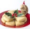 Holly, Christmas Shortbread with Santa.