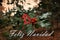 Holly red berries in the forest with text Feliz Navidad