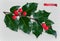 Holly traditional christmas decoration, 3d realistic vector icon