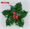 Holly traditional Christmas decoration. 3d realistic vector icon