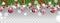 holly transparent background pictures