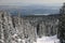Hollyburn peak point of view on Vancouver City