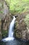 Hollybush Spout, Ingleton Waterfalls Trail.