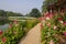 Hollyhock and Chinese traditional stone bridge