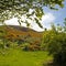 Hollyrood Park with Arthur\'s Seat in gorse blossom