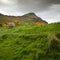 Hollyrood Park with Arthur\'s Seat in gorse blossom