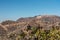 The Hollywood hills and its famous sign