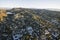 Hollywood Hillside Homes Morning Aerial Cityscape