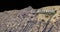 Hollywood sign Mount Lee Santa Monica Mountains Los Angeles California close view 3d rendering