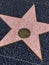 Hollywood Walk of Fame Star, with blank space for name