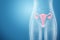 Hologram of the female organ of the uterus, diseases of the uterus and ovaries, menstrual pain. Medical examination, women`s