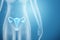 Hologram of the female organ of the uterus silhouette of the female body on a blue background. Ultrasound concept, gynecology,