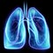 Hologram of inflamed lungs. The concept of lung disease, pneumonia, covid-19 pandemic, coronavirus. 3D rendering, 3D illustration