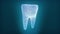 Hologram screen of molar tooth