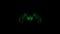 Hologram spider, 4K, Looped, Alpha