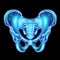 Hologram, ultrasound image, anterior view of the male pelvis, sacrum isolated on a black background. Anatomy, medicine, scientific