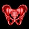 Hologram, ultrasound image, anterior view of the male pelvis, sacrum isolated on a black background. Anatomy, medicine, scientific