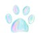 Holographic color paw prints